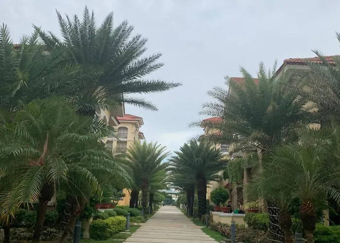 Sanremo Oasis, Di Mare, Srp